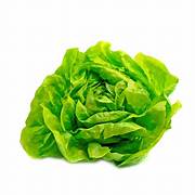 Lechuga Seda